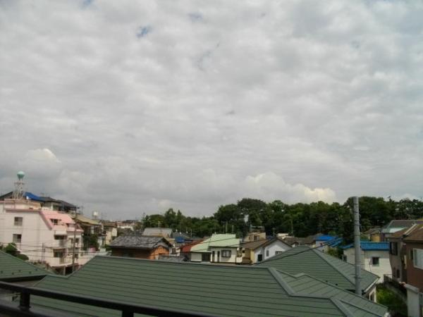 View photos from the dwelling unit. The view from the rooftop balcony