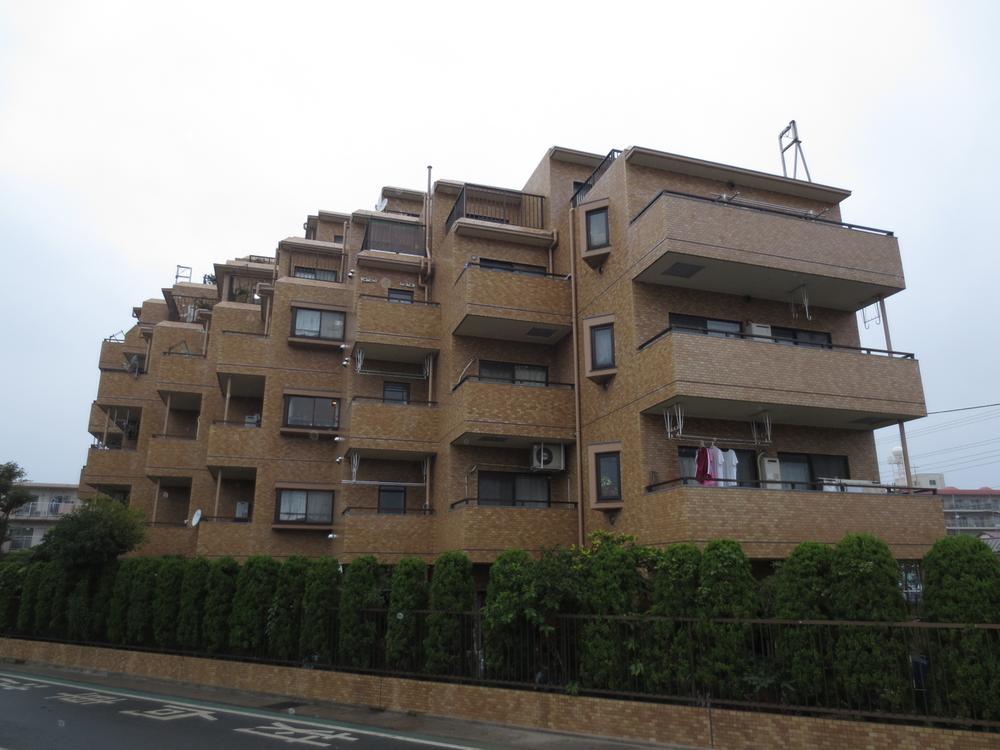 Local appearance photo. Local (10 May 2013) Shooting