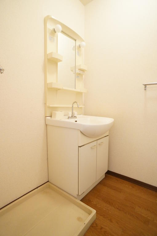 Washroom. Bathroom vanity