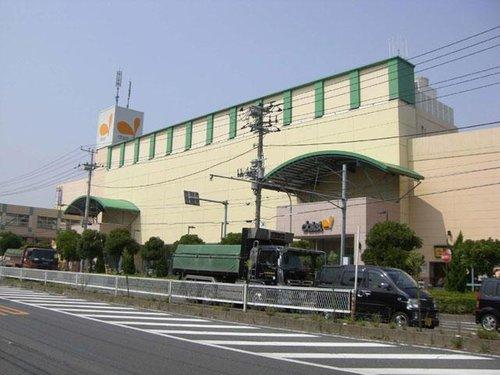Supermarket. 800m to Daiei Minamigyotoku shop