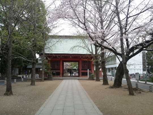 Local appearance photo. The building is a custom home construction Sumitomo Forestry!