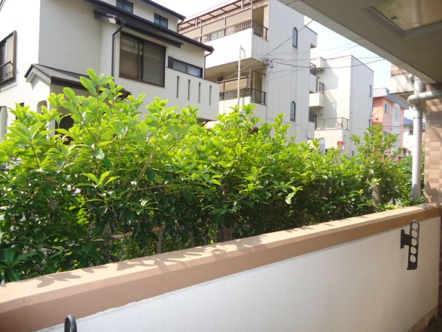 Balcony. Veranda