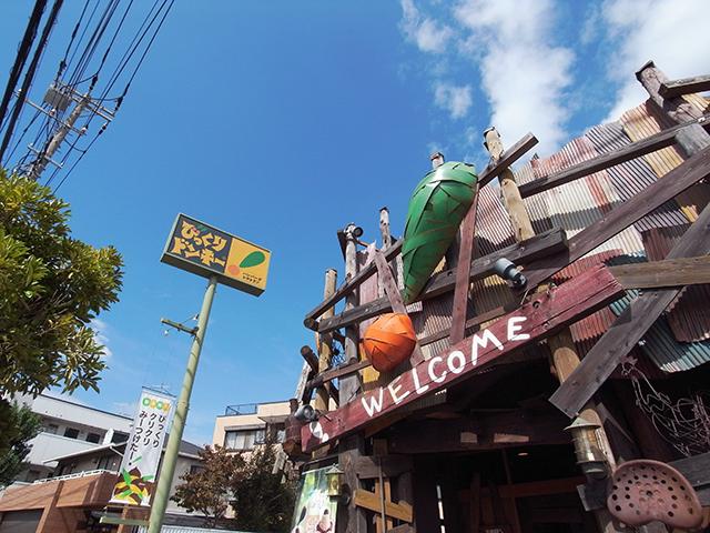 Other Environmental Photo. 80m to surprised Donkey