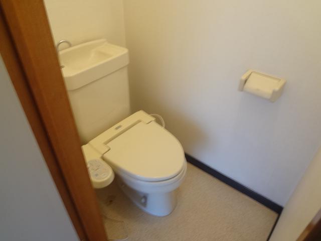 Toilet. It is with warm water washing toilet seat