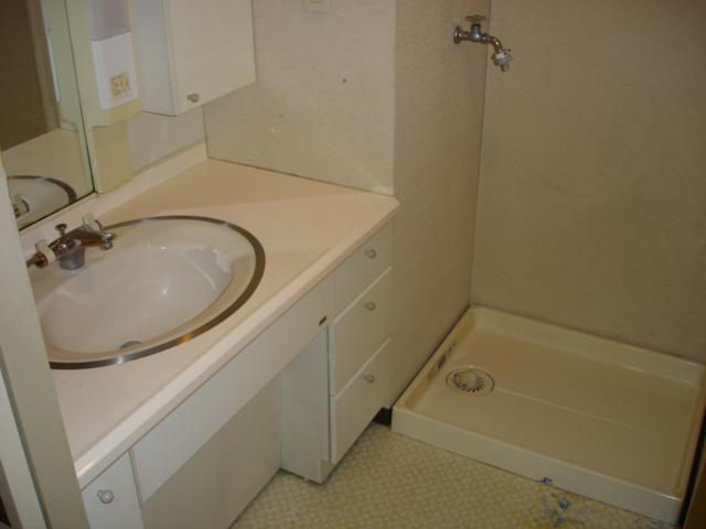 Washroom. It is a large sink and washing machine inside the yard.