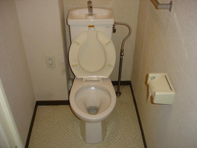 Toilet. It is to pace calm.