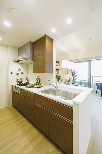Dishwasher, Hyper-glass top stove, such as advanced equipment standard equipped kitchen
