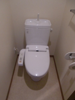 Toilet. It is with a bidet.