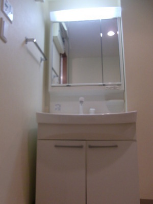 Washroom. Glad Shampoo dresser.