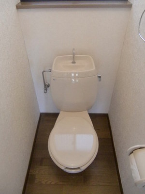 Toilet. It is beautiful.