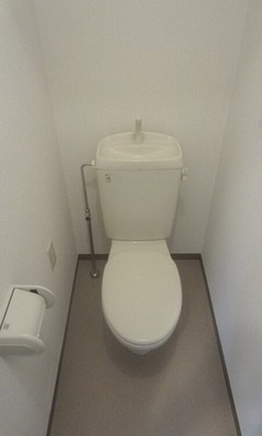 Toilet. Toilet with cleanliness.