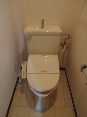 Toilet. Washlet toilet