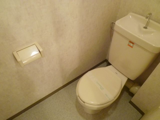 Toilet. Toilet