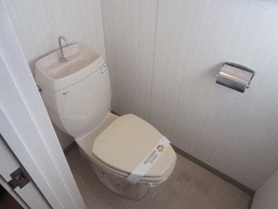 Toilet. It is comfortable and clean toilet.