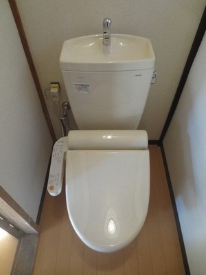 Toilet. With Washlet.