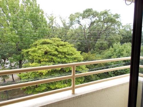 Balcony. Dazzling green park ☆