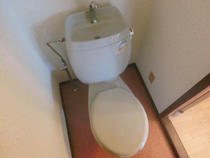 Toilet. It is a toilet with a clean! !