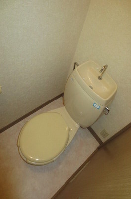 Toilet. It is a toilet with a clean.