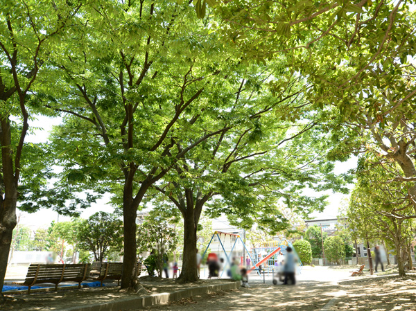 Surrounding environment. Municipal Ozu park (about 260m, 4-minute walk)