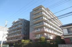 Local appearance photo. Local (11 May 2013) Shooting