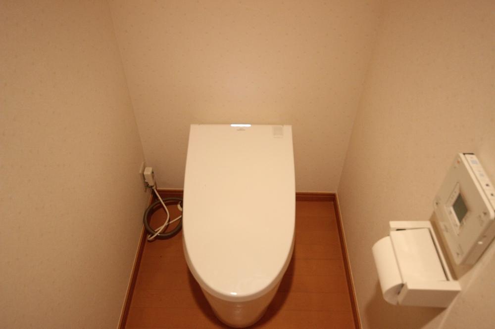 Toilet. Stylish restroom