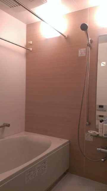Bathroom. Otobasu With bathroom mist sauna