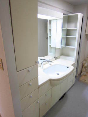 Washroom. Convenient wash basin with plenty of storage shelves