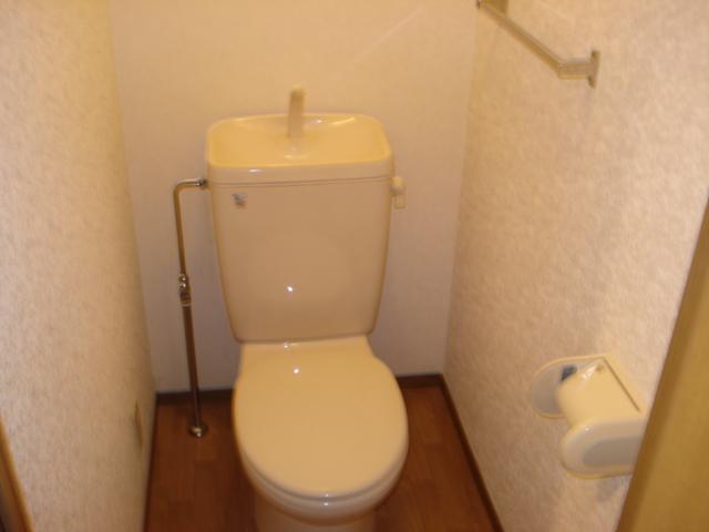 Toilet. It is beautiful