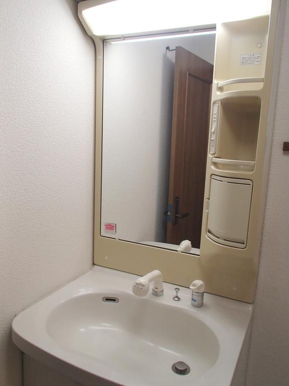 Washroom. Large wash basin with a shower