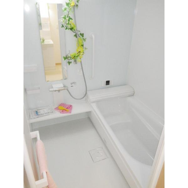 Same specifications photo (bathroom). Is a bathroom construction cases