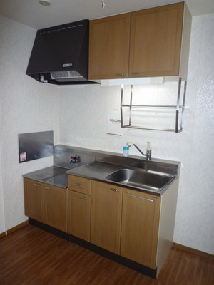 Kitchen. Two-burner gas stove installation Allowed