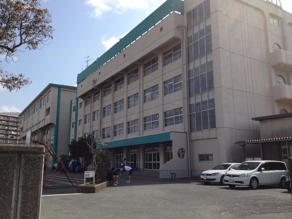 Junior high school. 1590m to Ichikawa City Minamigyotoku junior high school