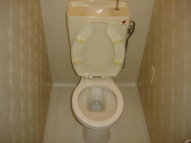 Toilet. Reference photograph