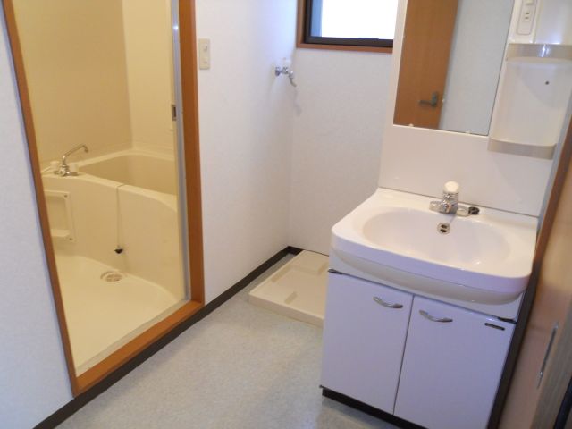 Washroom. Bathroom vanity