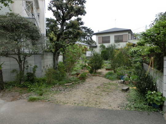 Local land photo