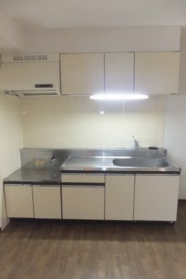 Kitchen. Two-necked gas stove installation Allowed