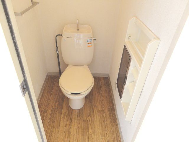 Toilet. Western-style toilet. 