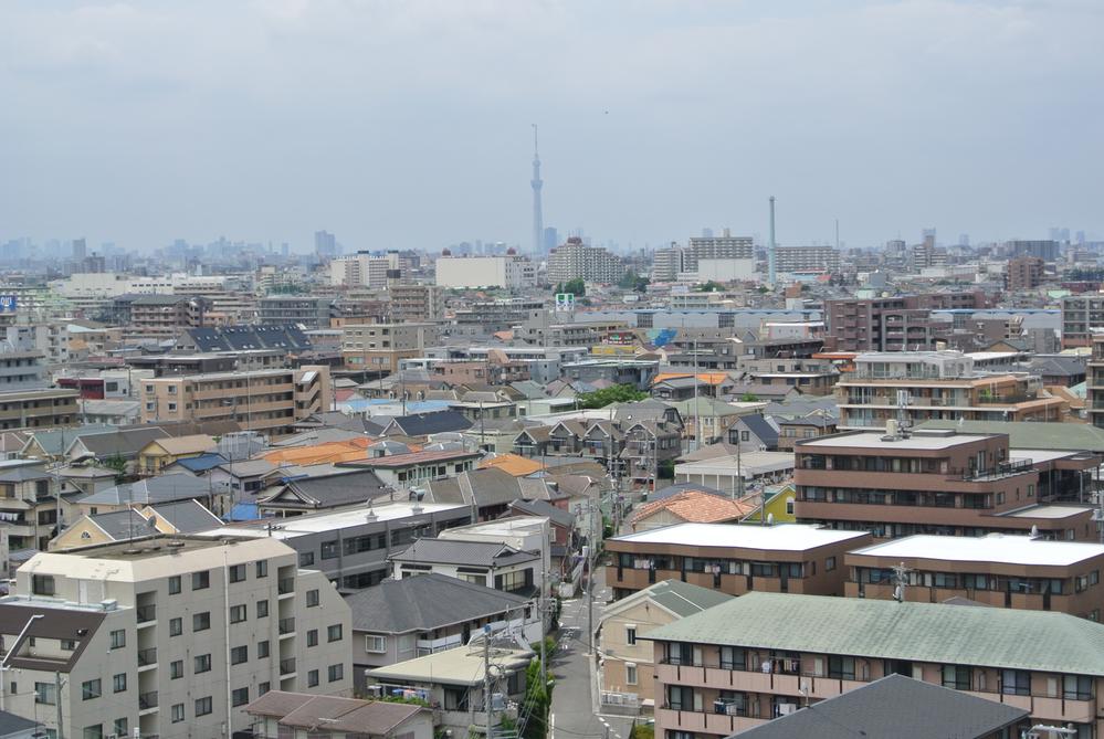 Other. Is the view from the rooftop. You views of the Sky Tree!