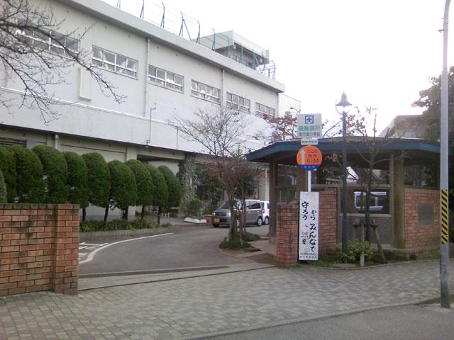 Primary school. Ichikawa City Minamigyotoku to elementary school 100m