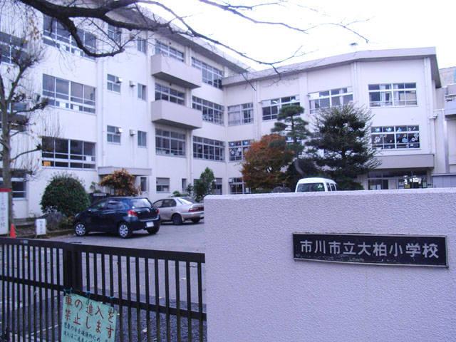 Primary school. 1248m until Ichikawa Municipal Ogashiwa Elementary School