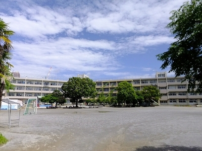 Primary school. 430m until Ichikawa Municipal Niihama elementary school (elementary school)