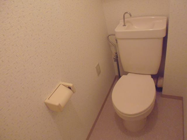 Toilet. Toilet