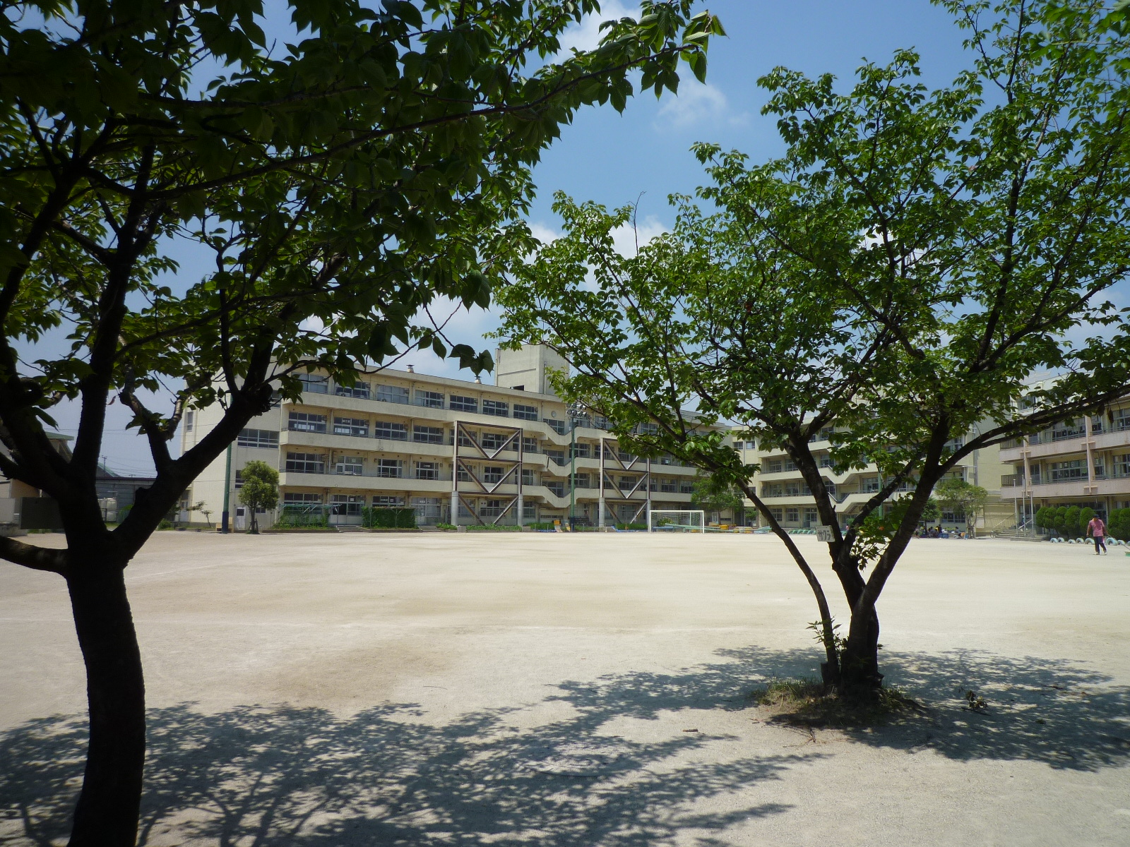 Primary school. 1244m until Ichikawa Municipal Gyotoku elementary school (elementary school)