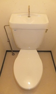 Toilet. It is a toilet with a clean.