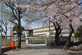 Junior high school. 703m to Ichikawa City third junior high school