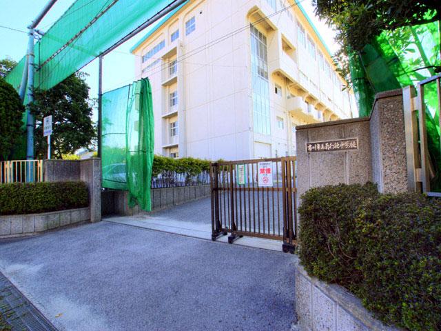 Junior high school. 320m until Ichikawa City Minamigyotoku junior high school