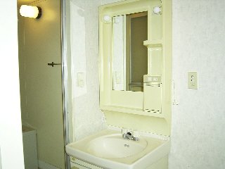 Washroom. Bathroom vanity