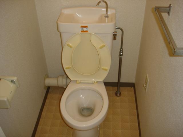 Toilet. It is a wide space.