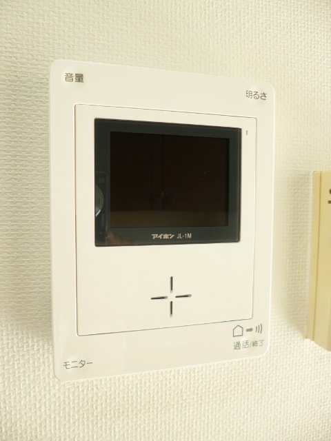 Security. TV monitor interphone