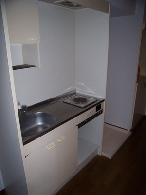 Kitchen. Compact kitchen